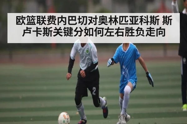 欧篮联费内巴切对奥林匹亚科斯 斯卢卡斯关键分如何左右胜负走向（Yabo）